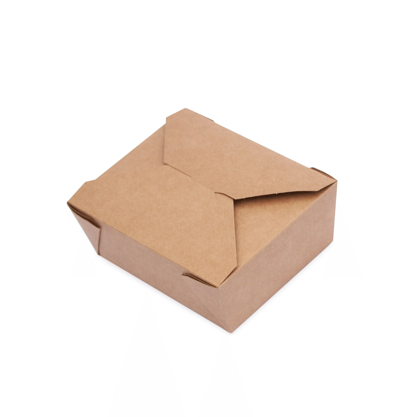 Leakproof food container No.4 kraft food-to-go carton 180 units,  2500ml (19.5 x 14 x 9cm)