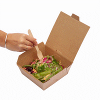 Food Container Take away packaging Hot food container Medium Bioflute Leakproof box